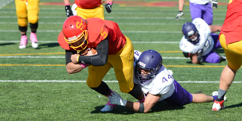 Turnovers costly in football's loss to Loras