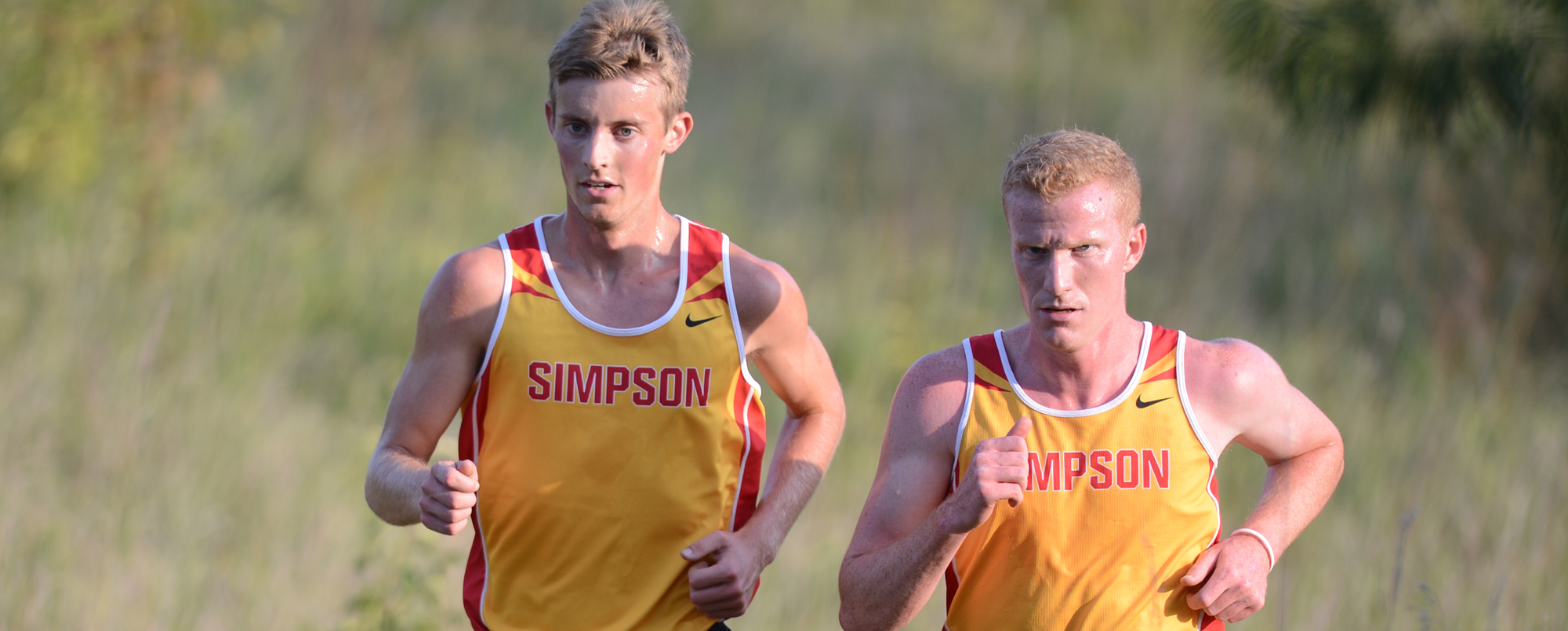 Thompson, McKenzie lead men’s cross country to convincing win