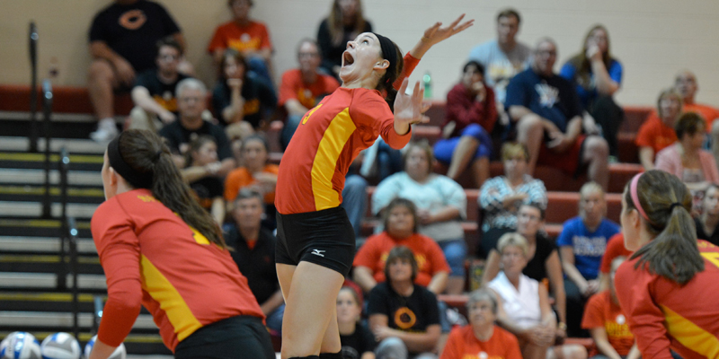 Volleyball splits final day of tournament play