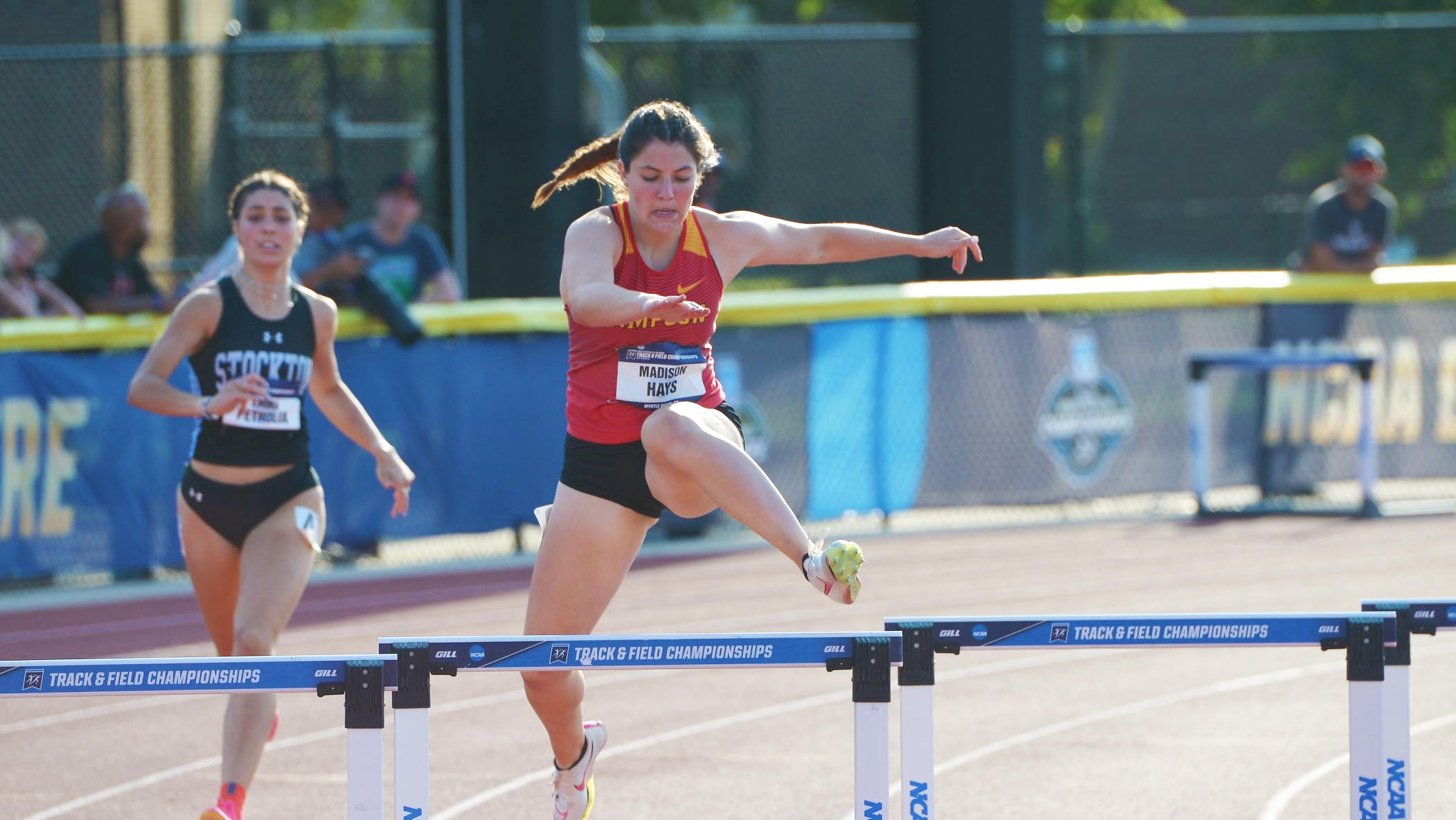 Junior Maddie Hays (photo by d3photography.com)